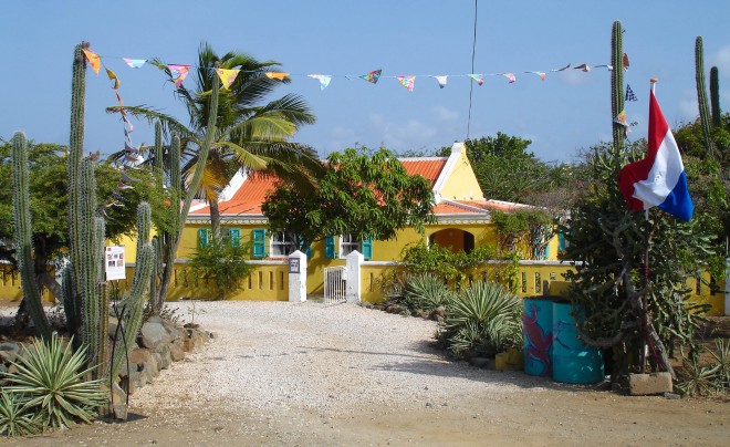 aruba-yellow-house