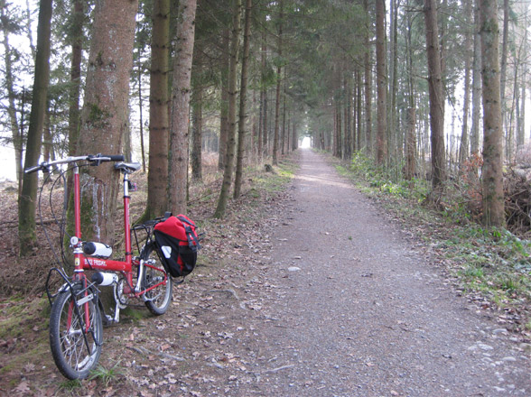 red bike friday new world tourist folding bicycle in swiss forest