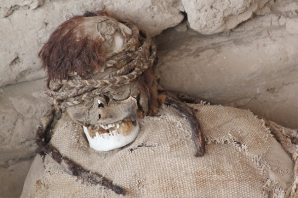 the head of a mummy with hair still on its head