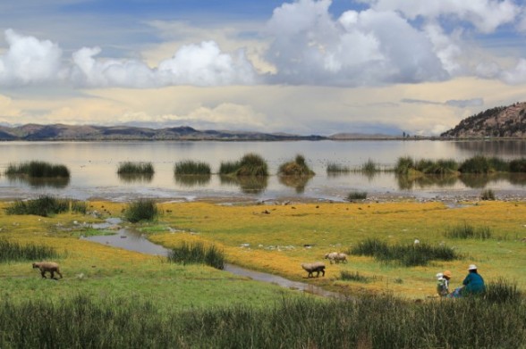 native woman sitting by the shore of lake titicaca with a number of sheep and a small child