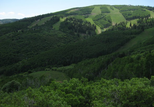 mid mountain trail at park city