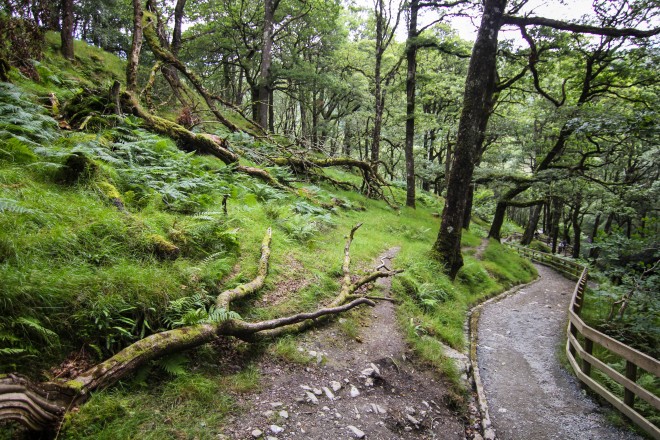 Glendalough walking trail