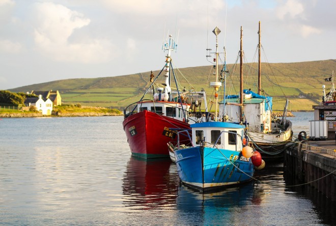 Dingle Ireland colorful boats