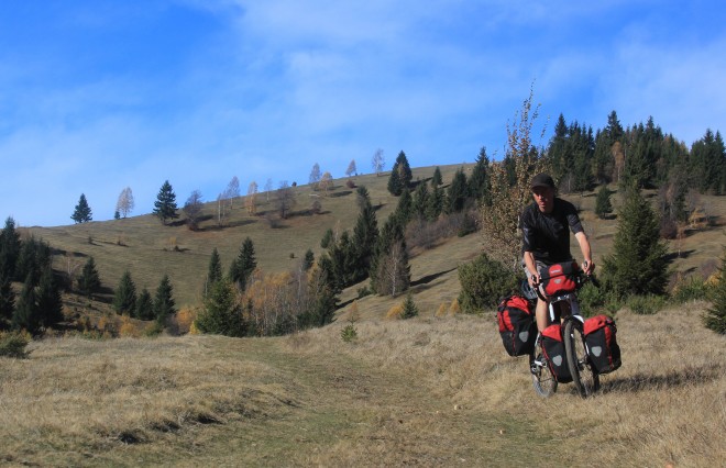 forest-romania-bicycle-touring-pro
