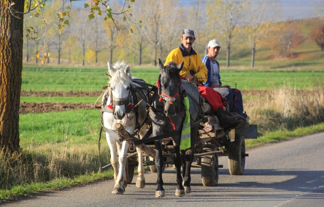 two-men-riding-horse-drawn-carriage-romanian
