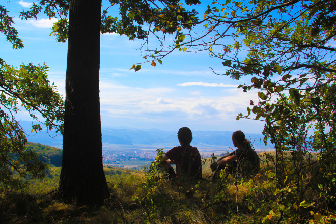 two male hikers looking out over horizon from the shelter of a forest