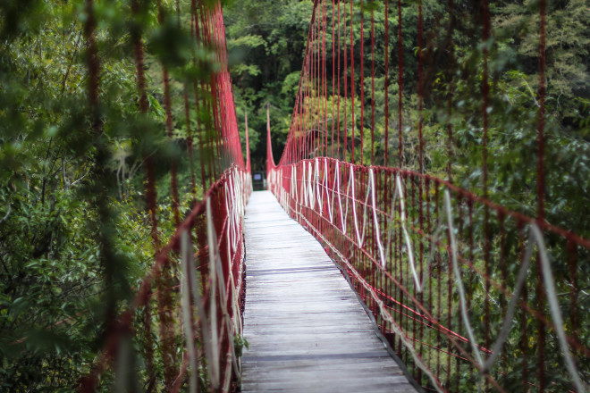 red jungle rope bridge