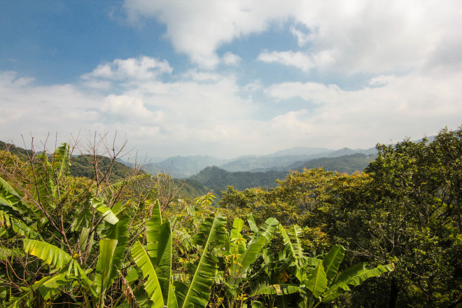 taiwan mountainous jungle skyline