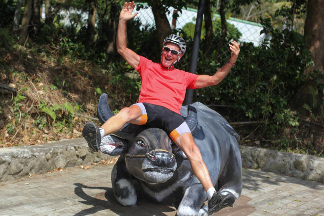 water buffalo with a man on top