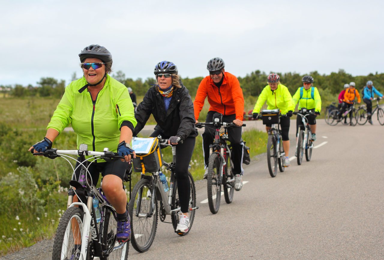 Bicycle Touring Pro