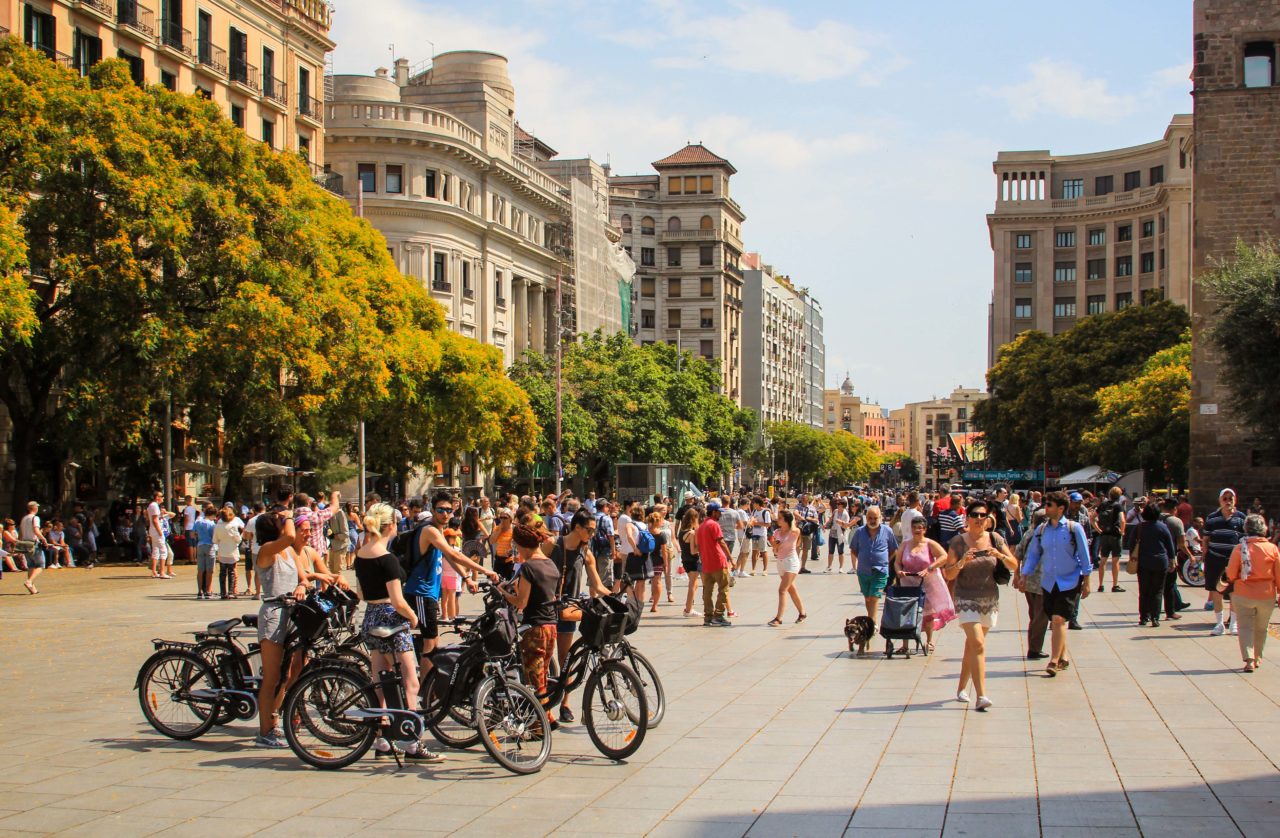 Bicycle Touring Pro