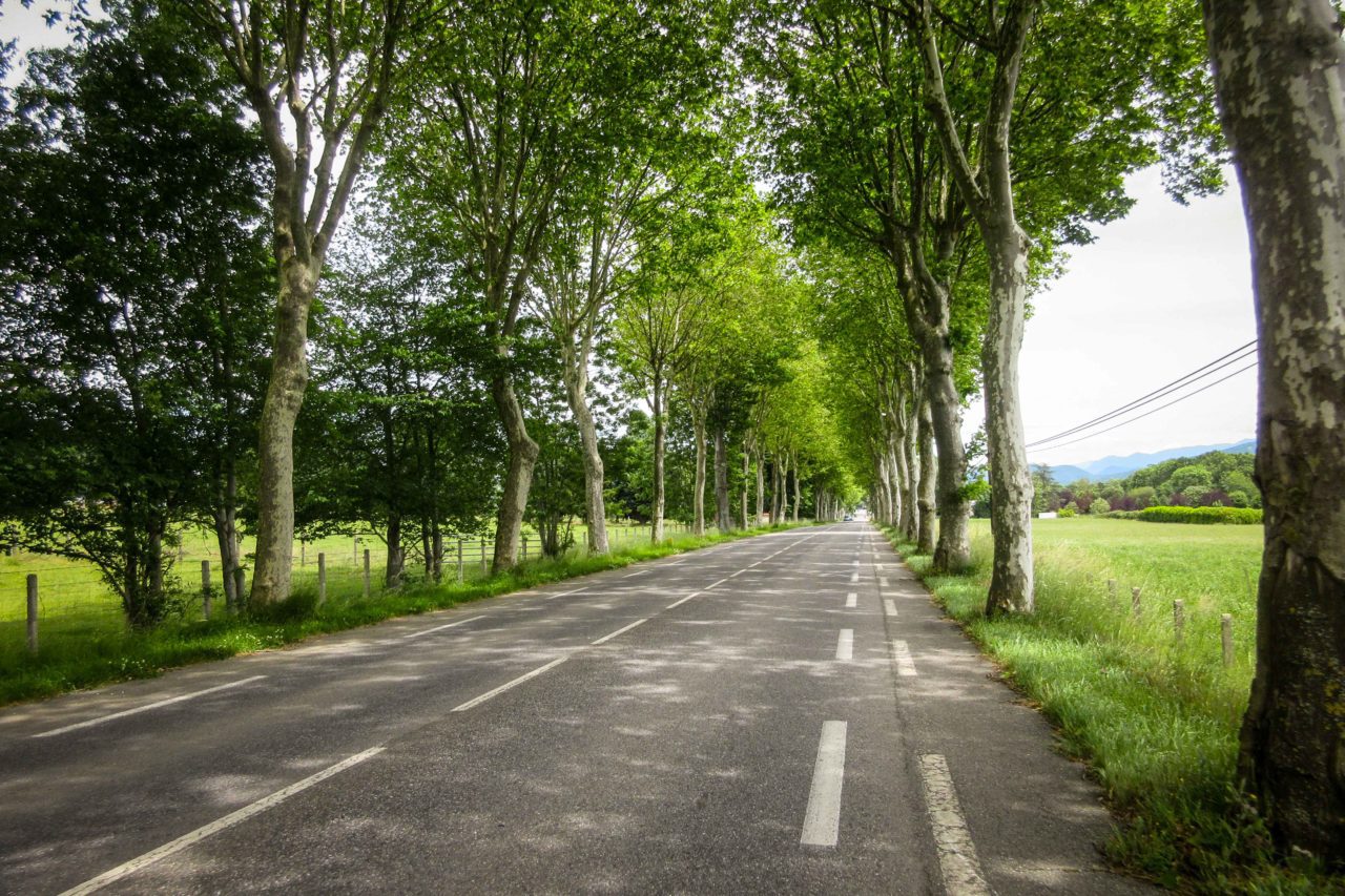 Bicycle Touring Pro