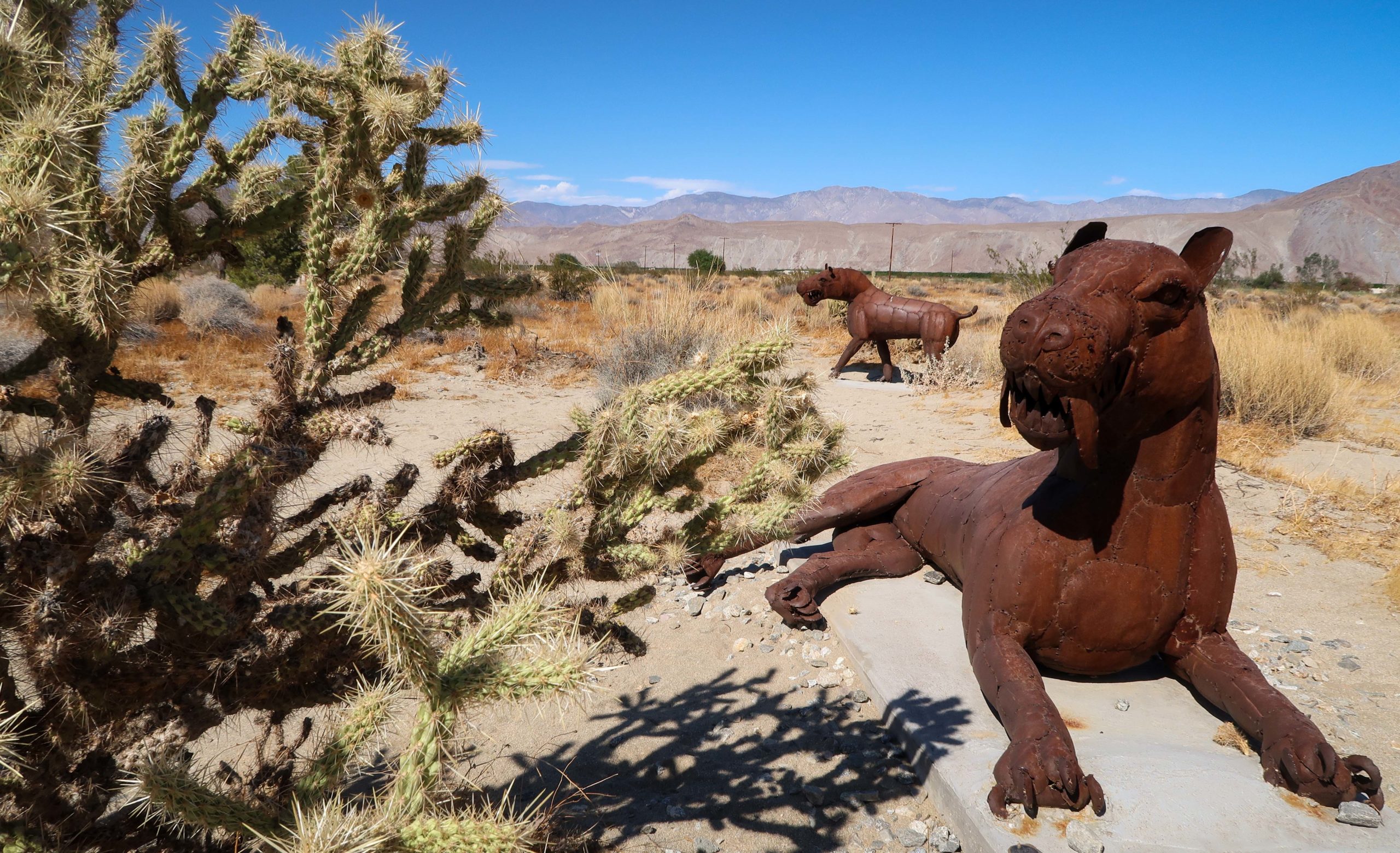 Anza Borrego Desert State Park Sculpture Photos7040 Bicycle Touring Pro