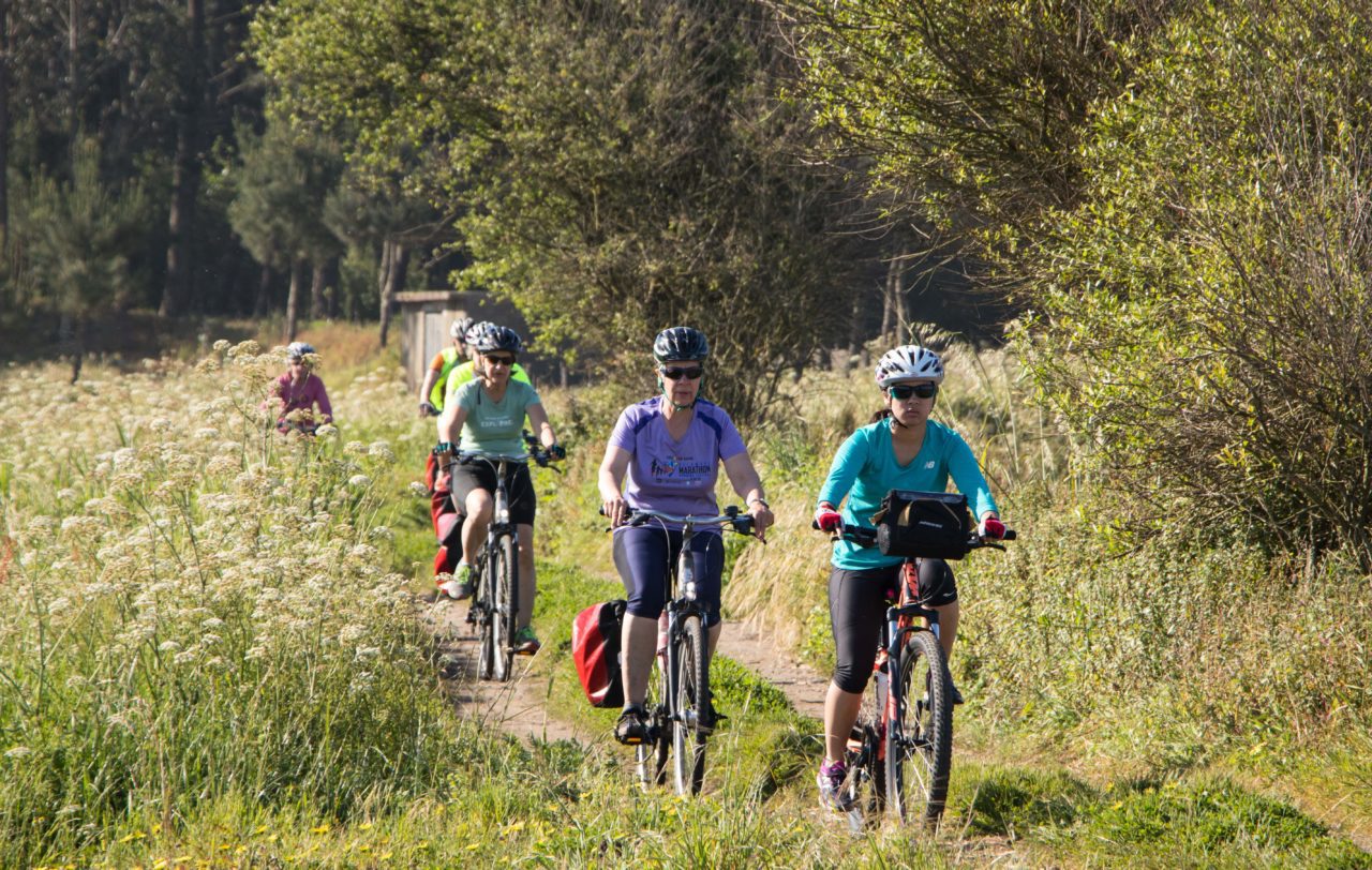 Bicycle Touring Pro