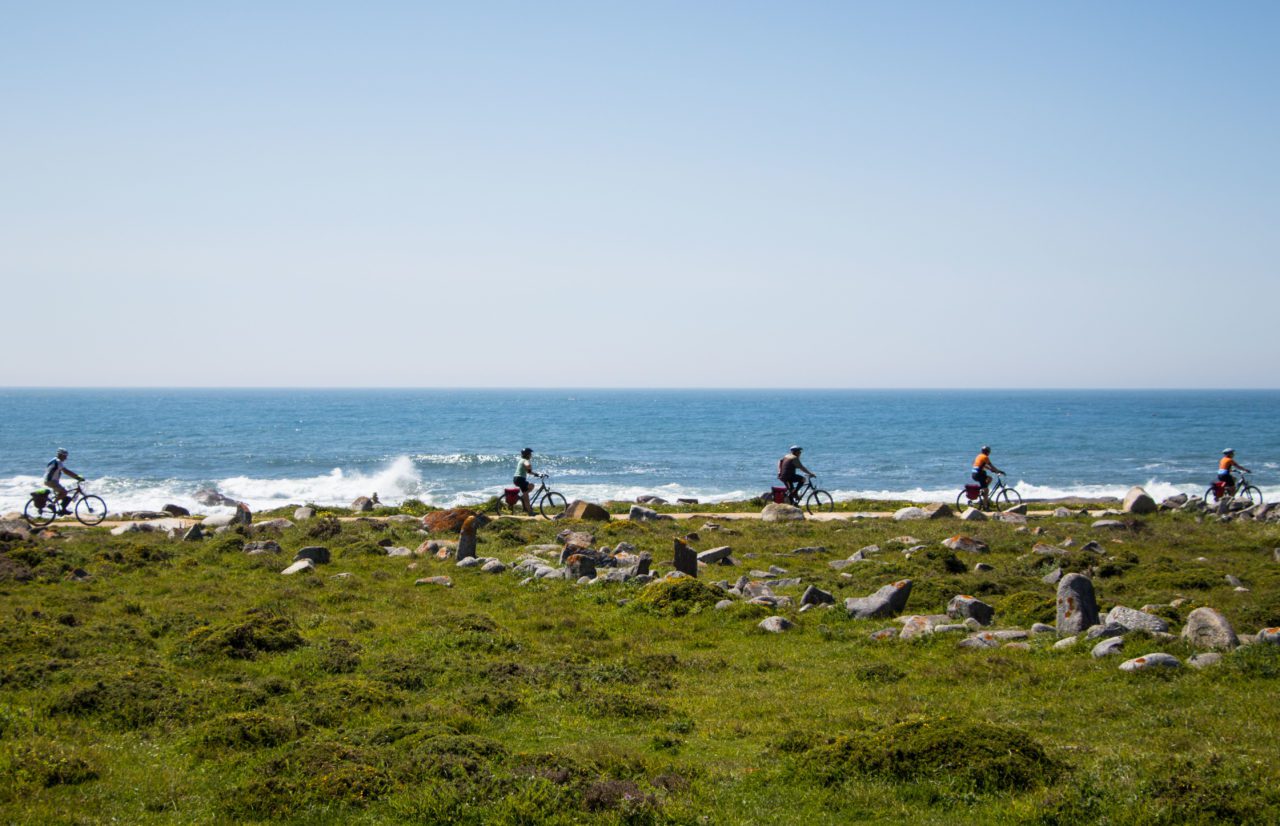 Bicycle Touring Pro