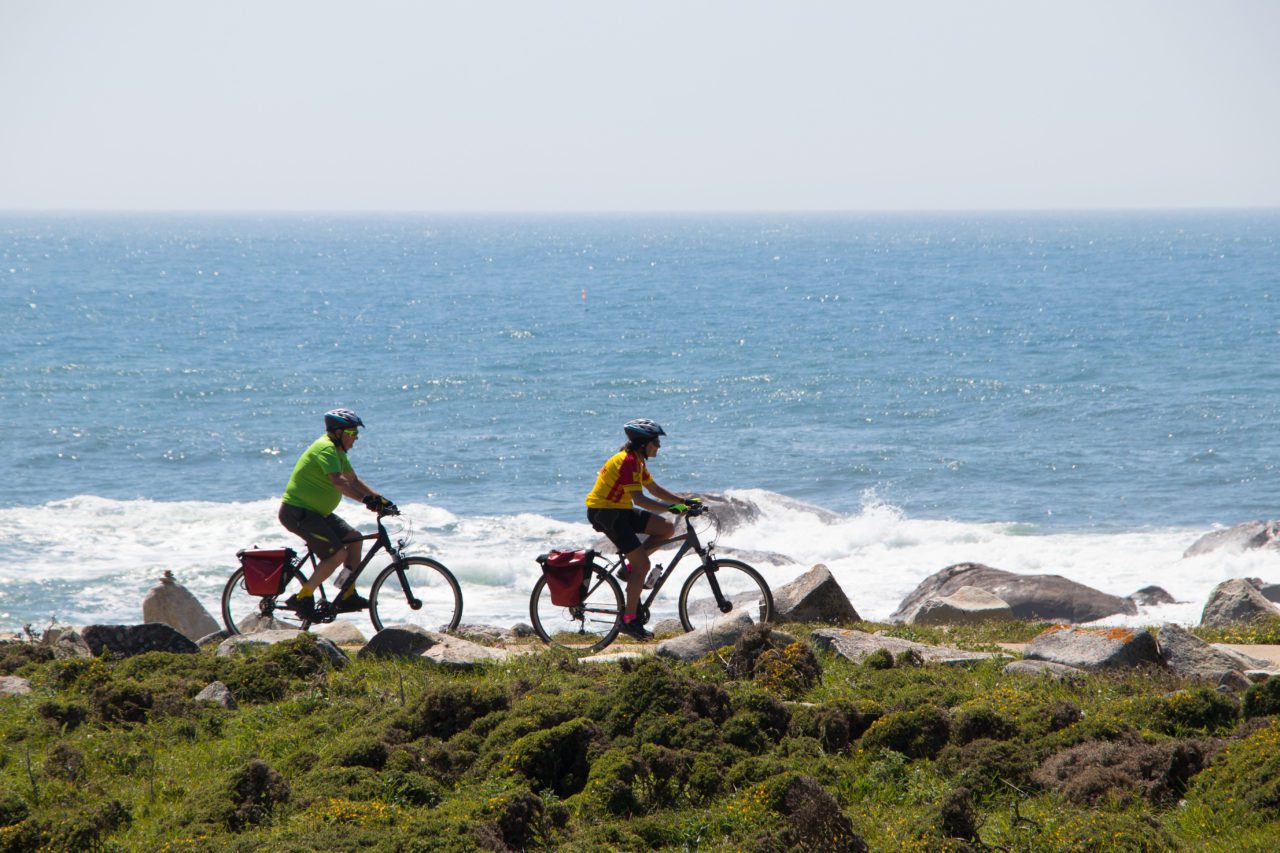Bicycle Touring Pro