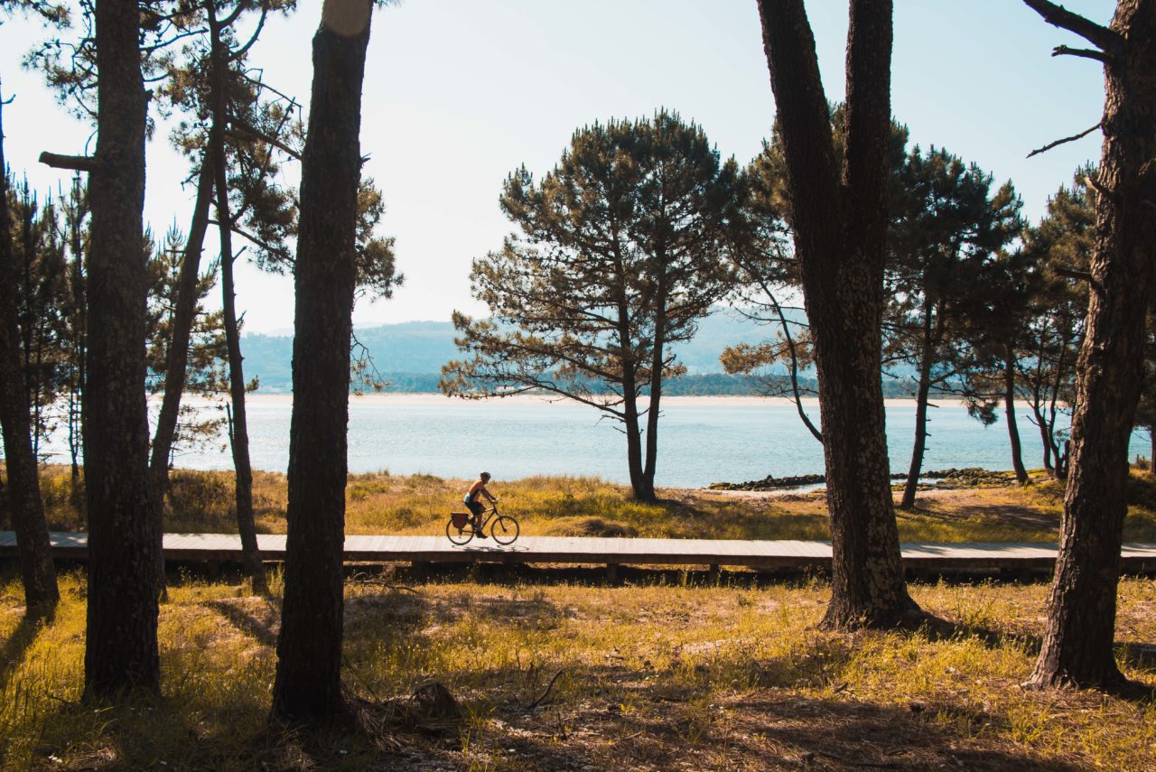 Bicycle Touring Pro