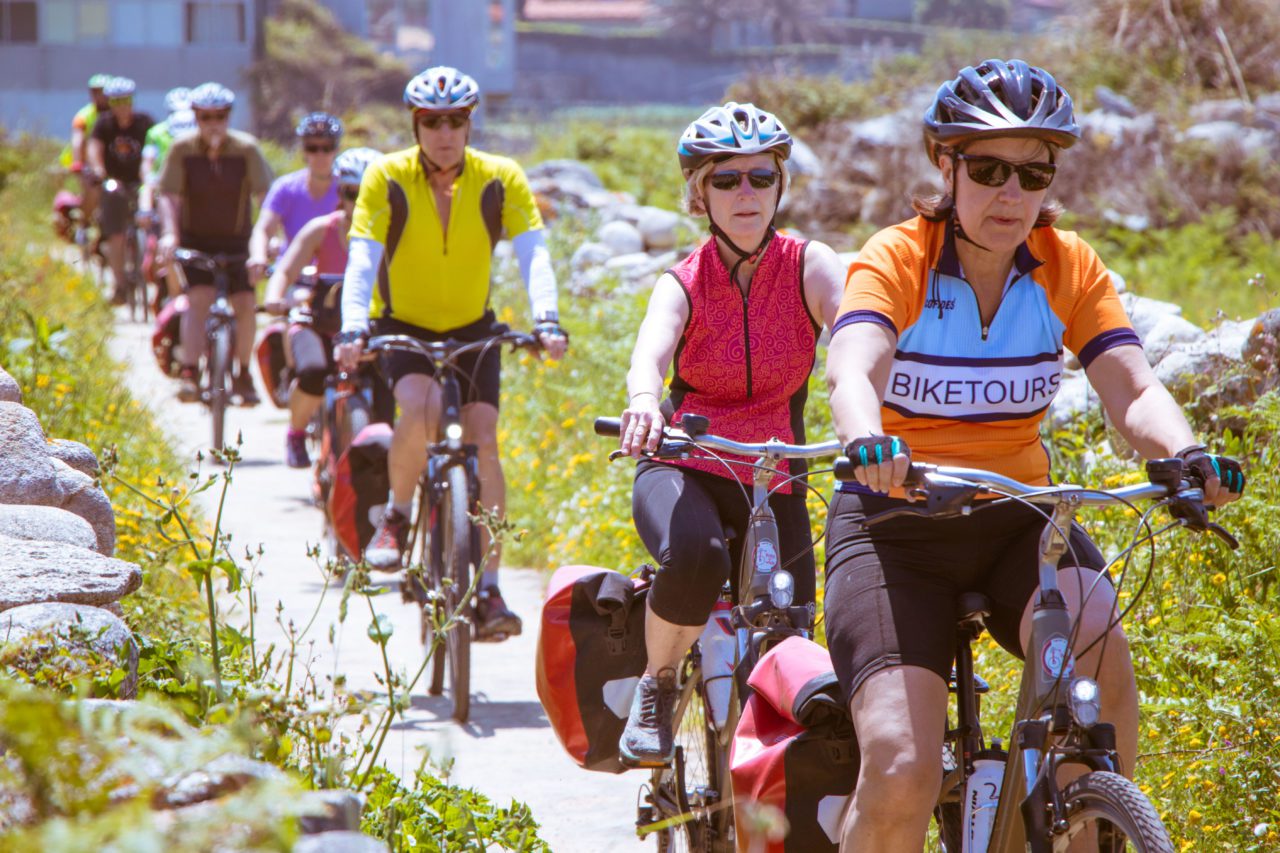 Bicycle Touring Pro