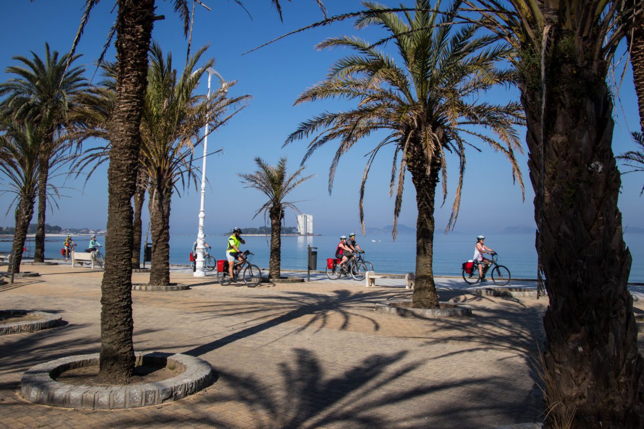 Bicycle Touring Pro