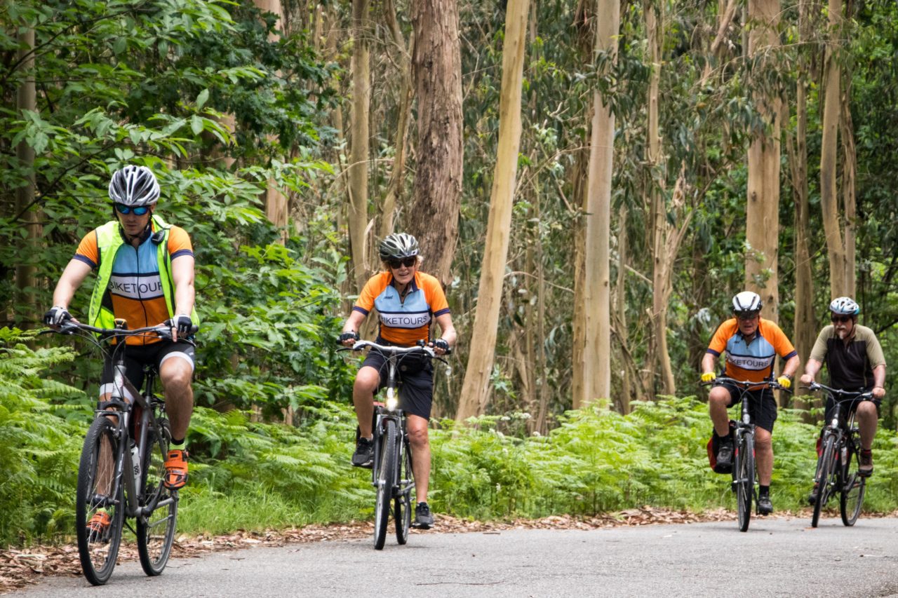 Bicycle Touring Pro