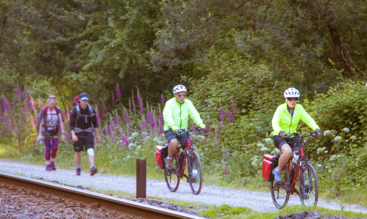 Bicycle Touring Pro