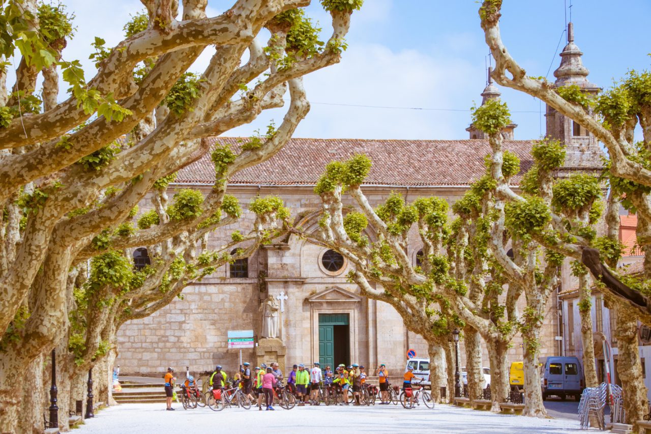 Bicycle Touring Pro