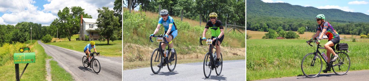 Bicycle Touring Pro