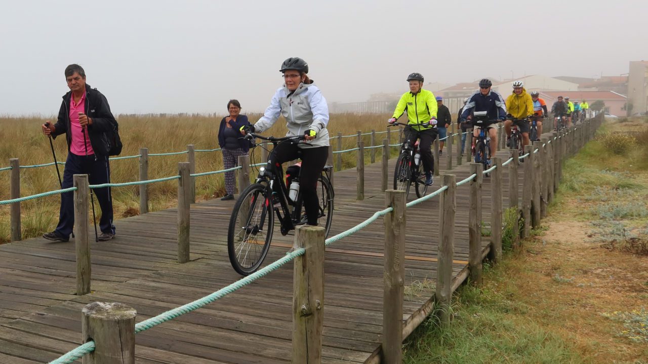 Bicycle Touring Pro