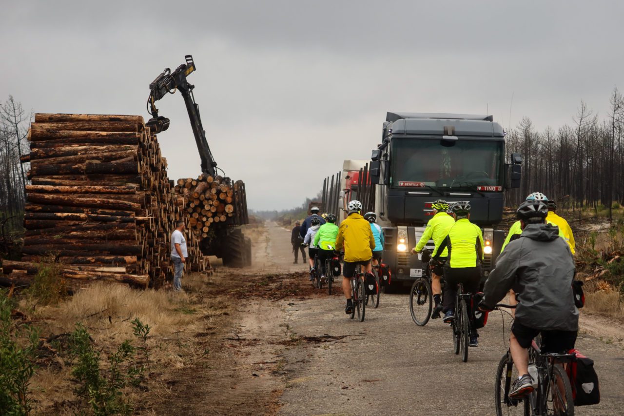 Bicycle Touring Pro