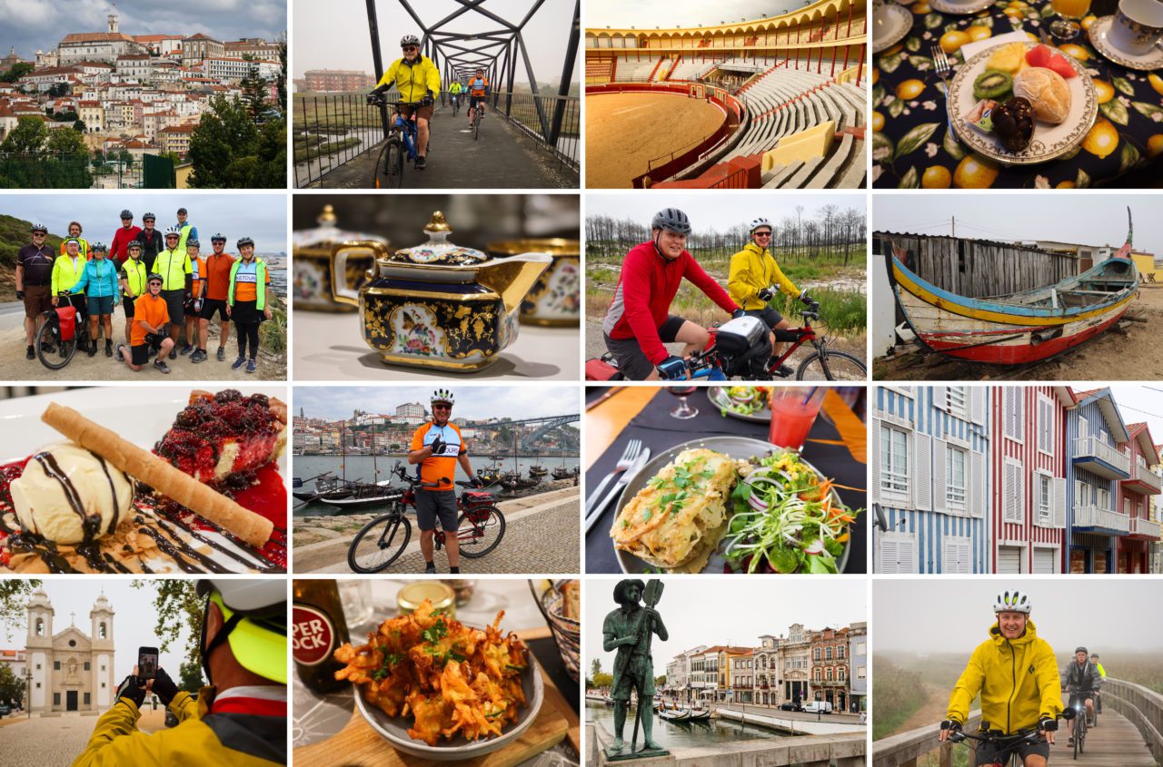 Bicycle Touring Pro