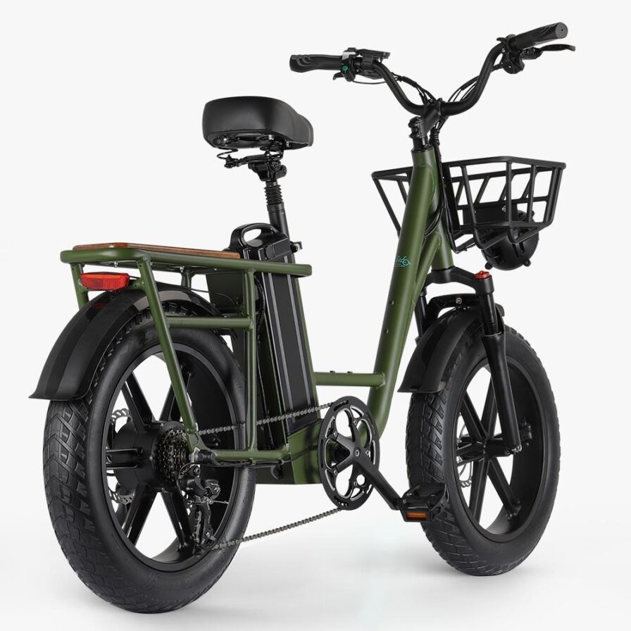 fiido electric bike t1