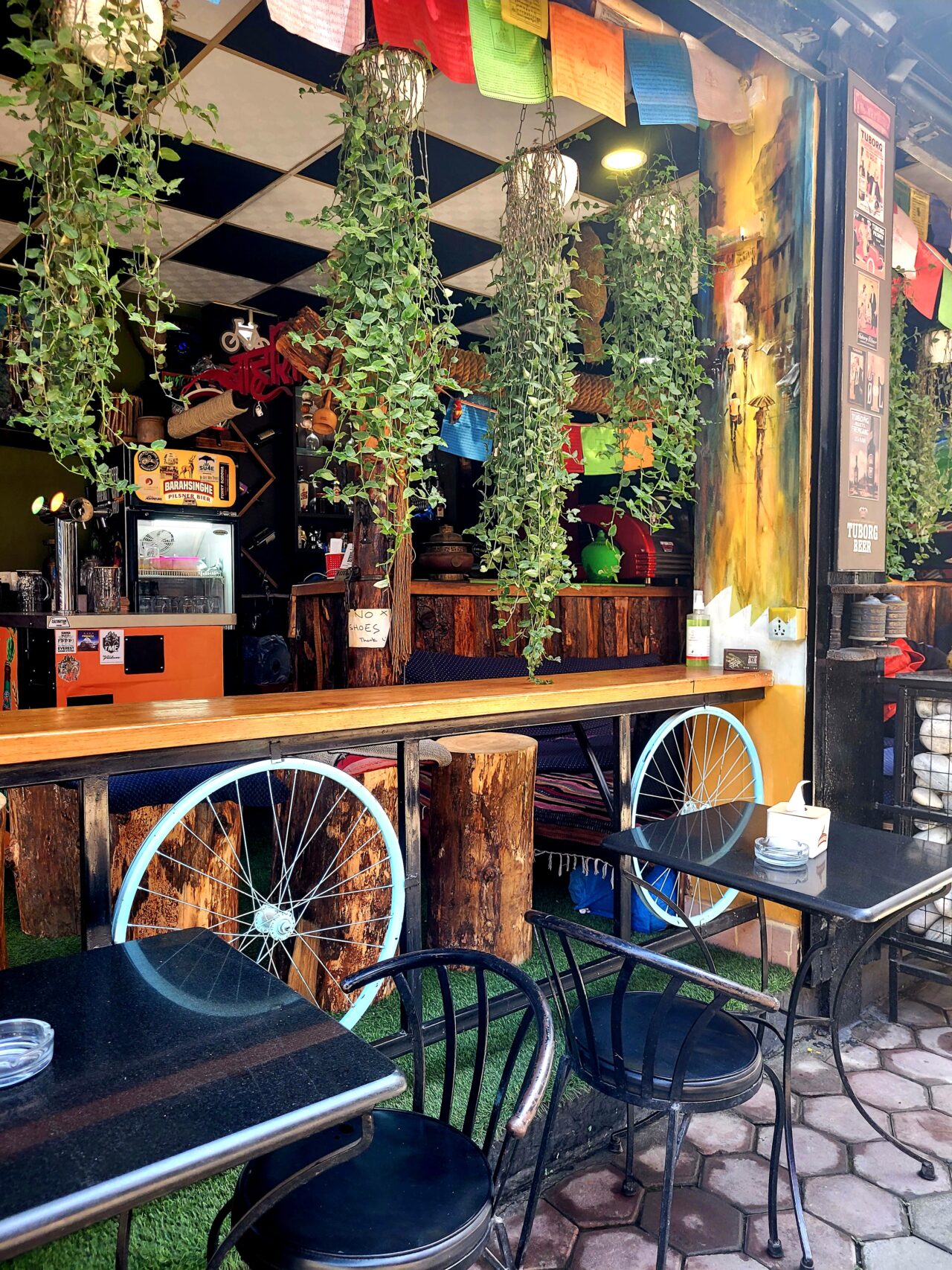 Bicycle Touring Pro